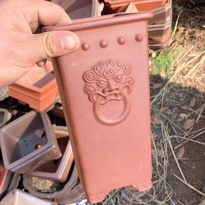 紫砂优秀青年科技人才创新人才