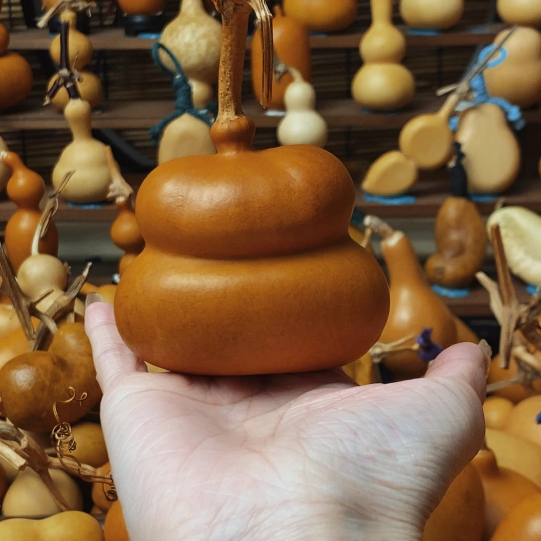 橘****885555555555555588558888