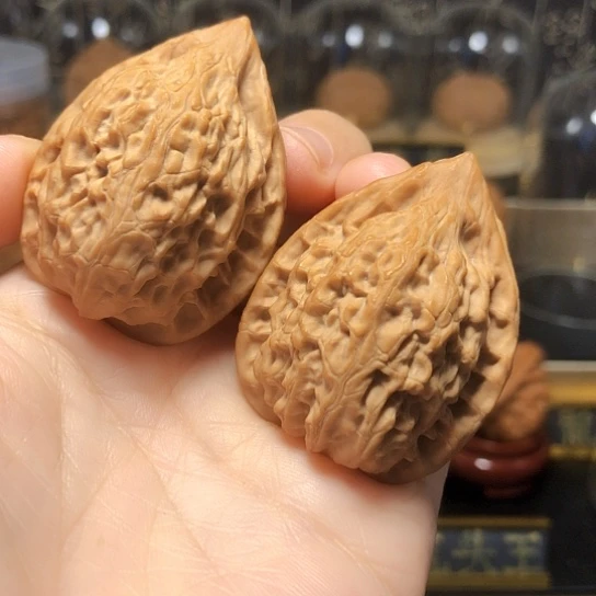 精品长治鸡心：吸血鬼