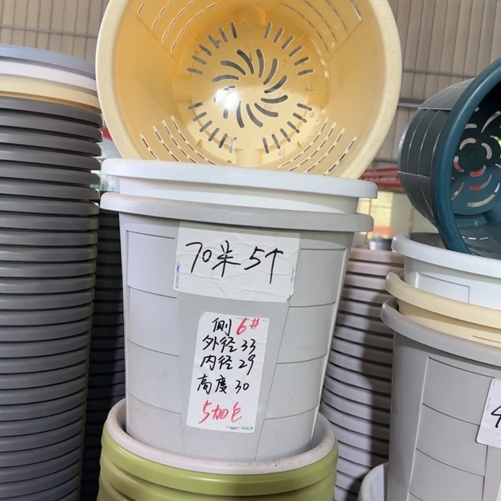 测6#口径33无托灰白5个