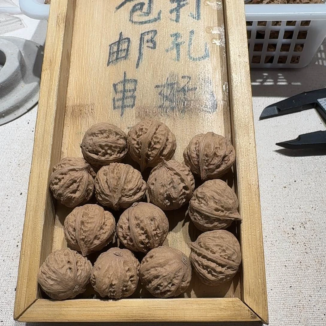 核桃手串/手链67号边23肚26高23