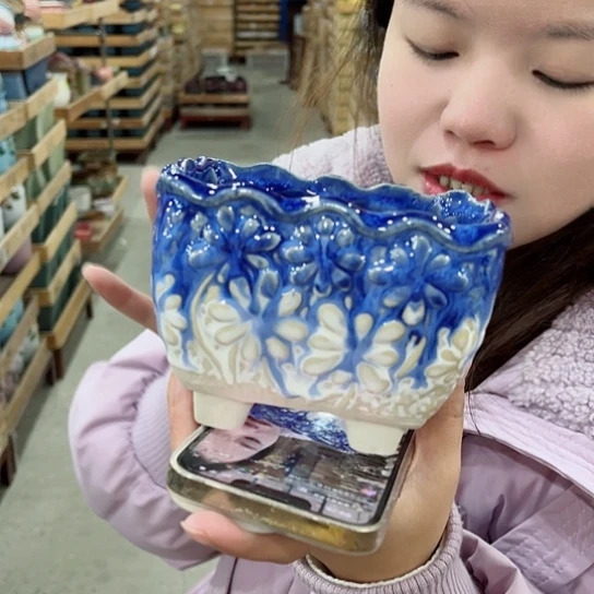 红陶花盆里还有几棵树上