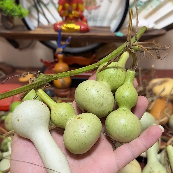 金***澡不包成112233333222