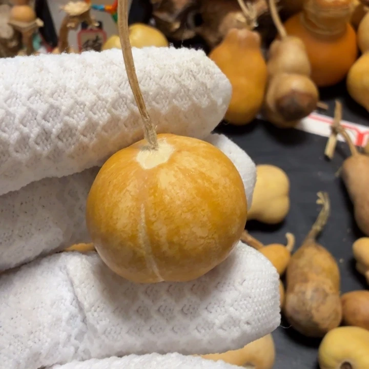 惊***蛰666677777778888999999