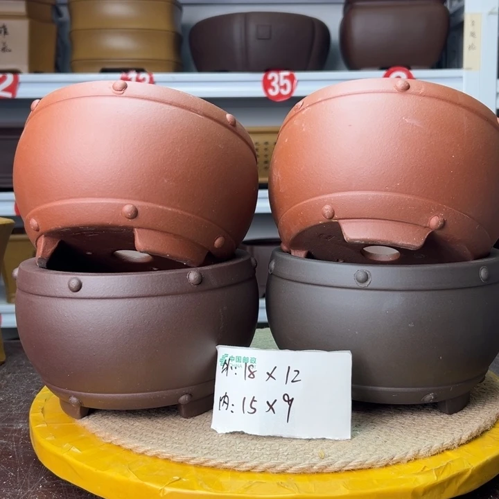 花盆紫砂蛇年大吉