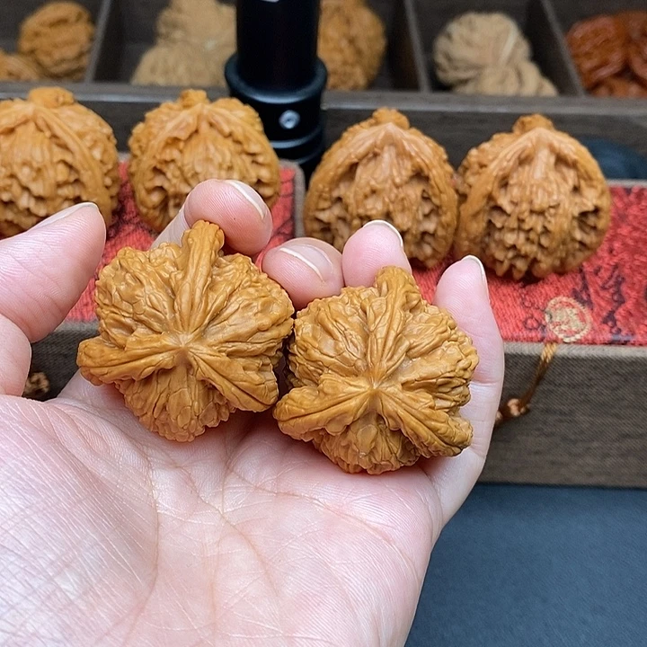 谢***哈文玩核桃把件白奔