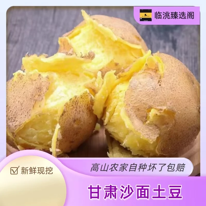 试吃装  2025黄心沙面土豆甘肃定西原产地现挖现发