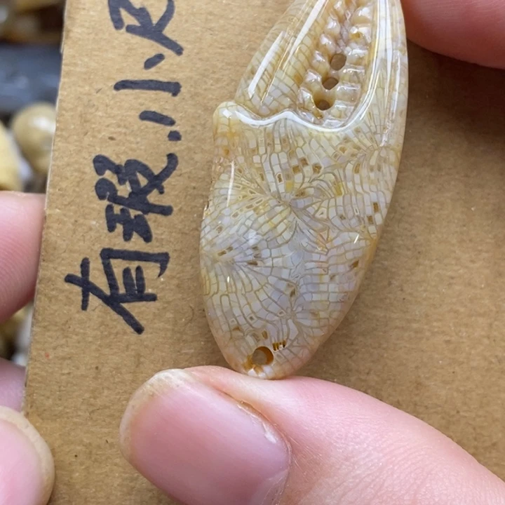 硅化珊瑚（珊瑚玉）未镶嵌颈饰