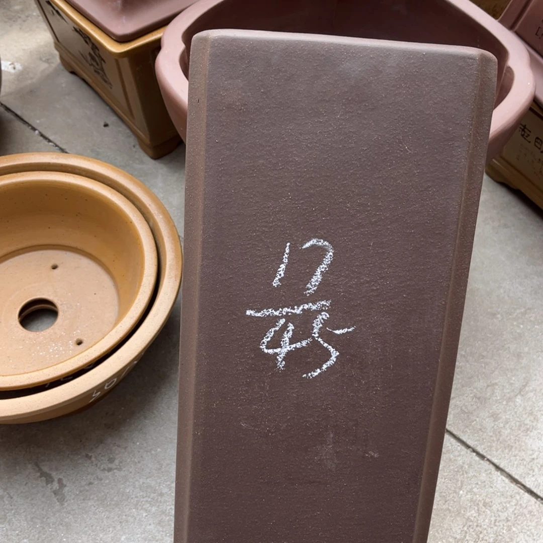 花盆紫砂盆景艺术