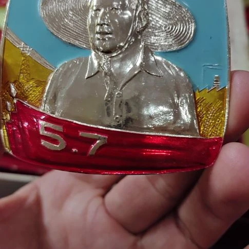 其他普通金属币*纪念章