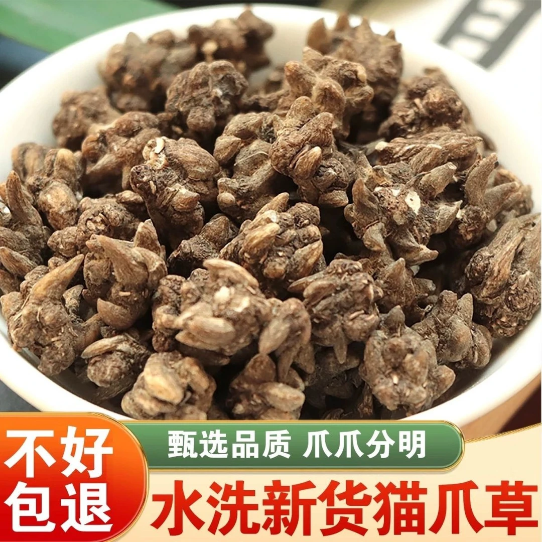 优质猫抓草满足多样需求