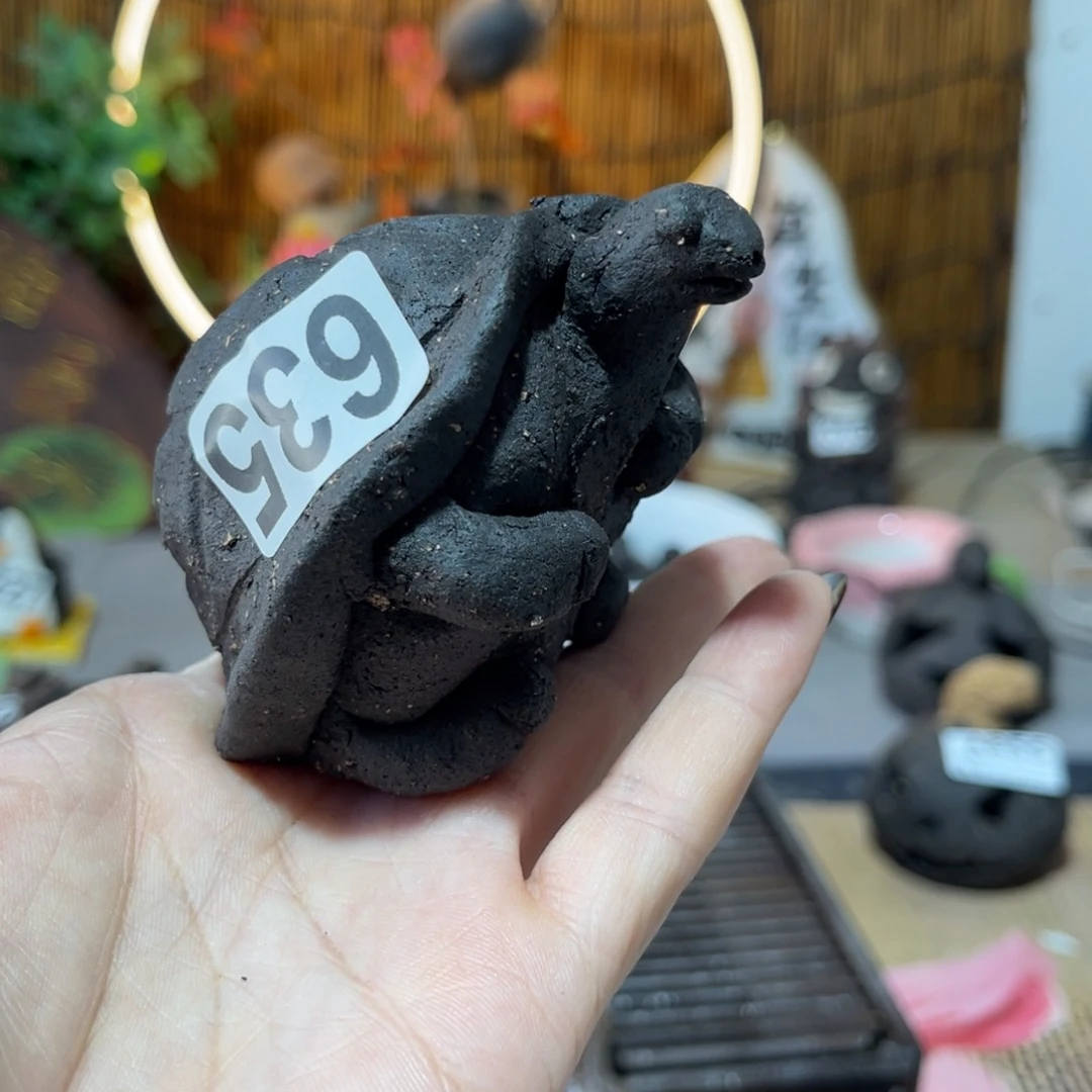 木村信弘柴烧保平