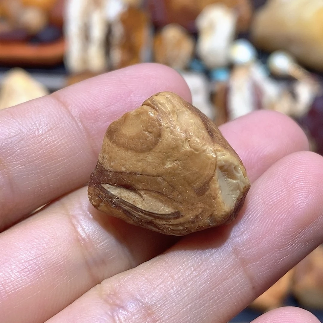 定制琥珀蜜蜡原石