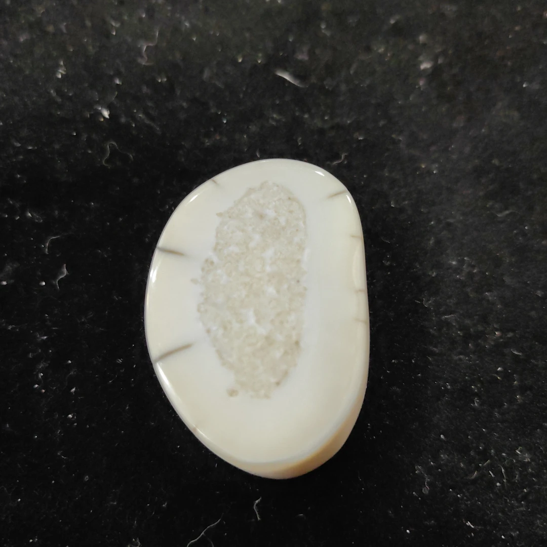 猛犸猛犸虬饼子WT492