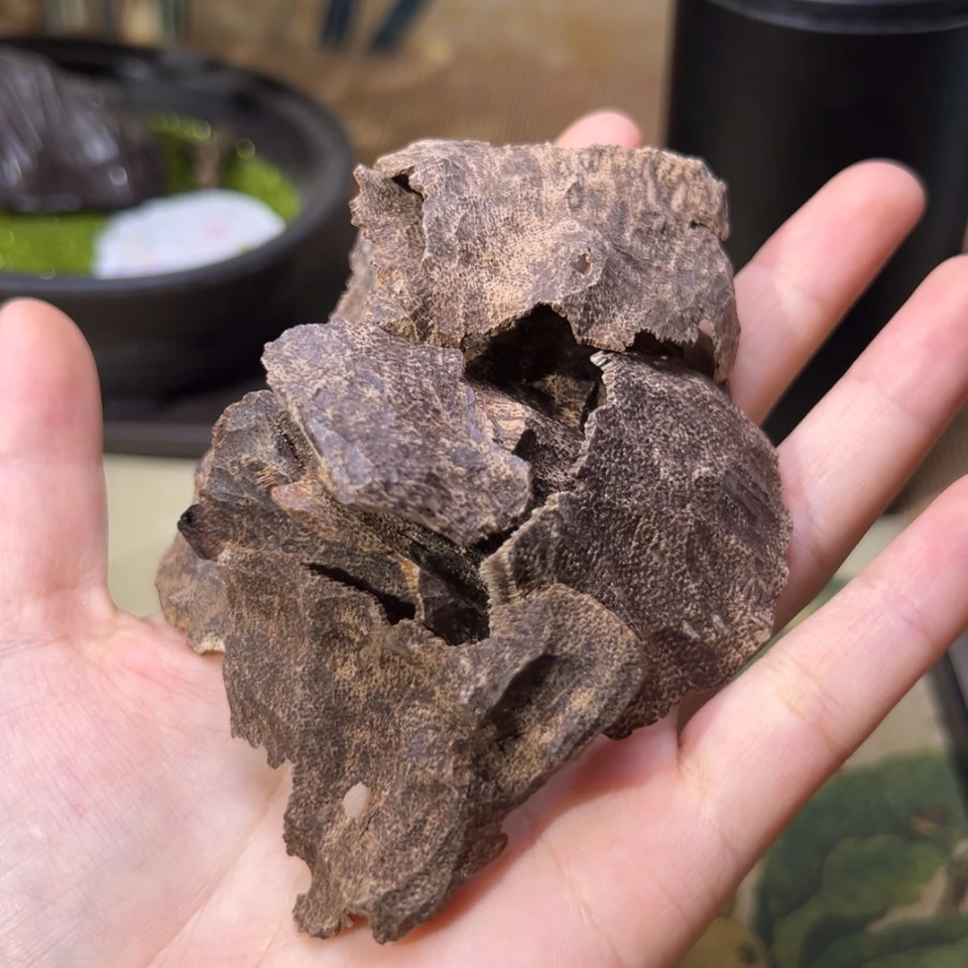 香榧木海南木料沉水浮老包壳12克