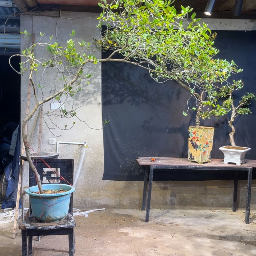 微**风好纠结斤斤计较