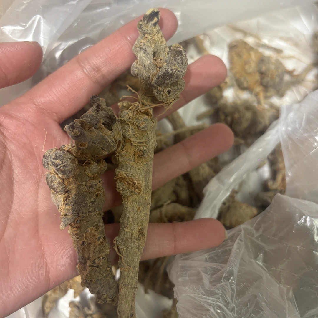 云南野生下山人参三七新鲜健康养生之选