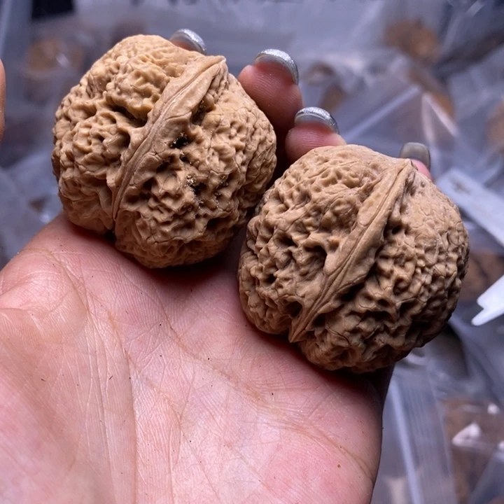 核桃云南野生铁核桃20号40mm