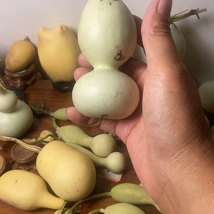 顶***上青皮炮弹葫芦手把件