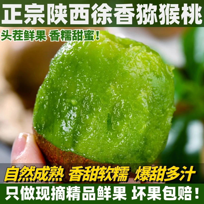 陕西眉县徐香绿心猕猴桃新鲜水果香甜多汁应季美味现摘现发12枚