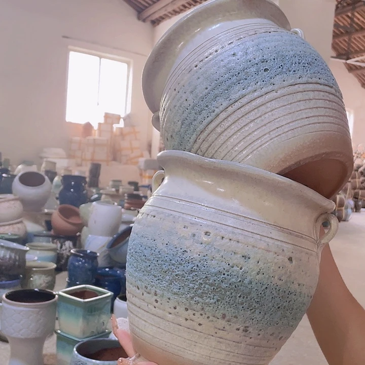 正品20/20两个处理