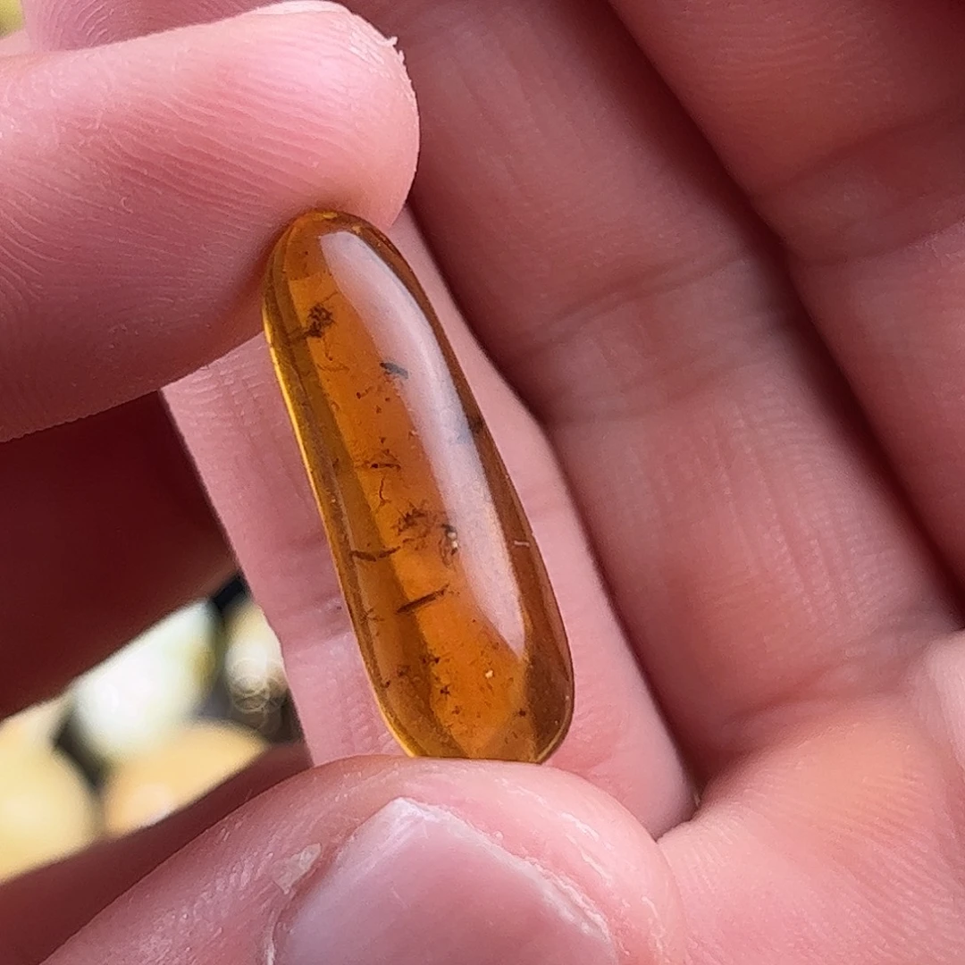 虫珀未镶嵌珠宝奇石