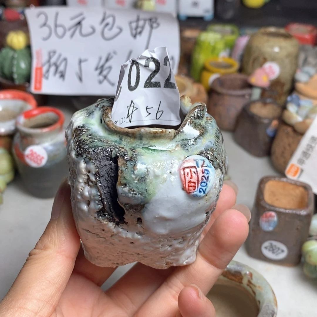 ?*扰拍5送一个小礼物
