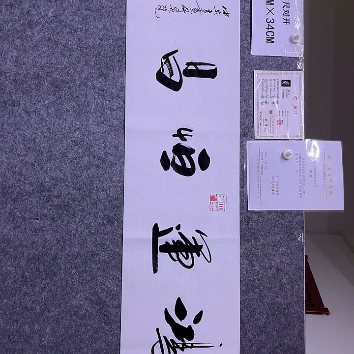 书法书画家作品欣赏
