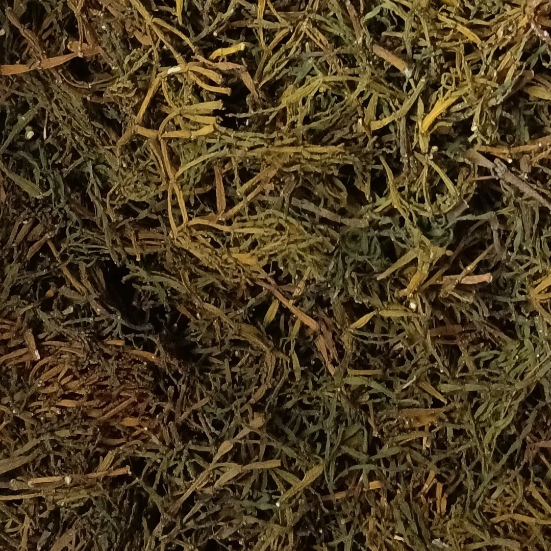 螃蟹脚（2025年景迈山）