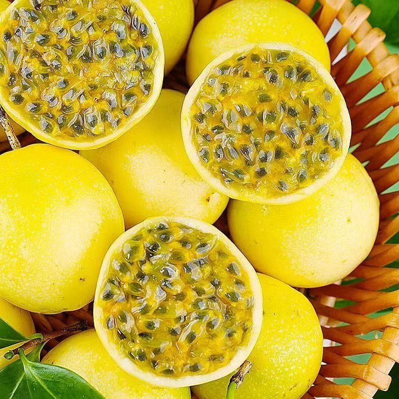 【海南直发】海南正宗钦蜜九号黄金百香果香甜多汁一口爆汁