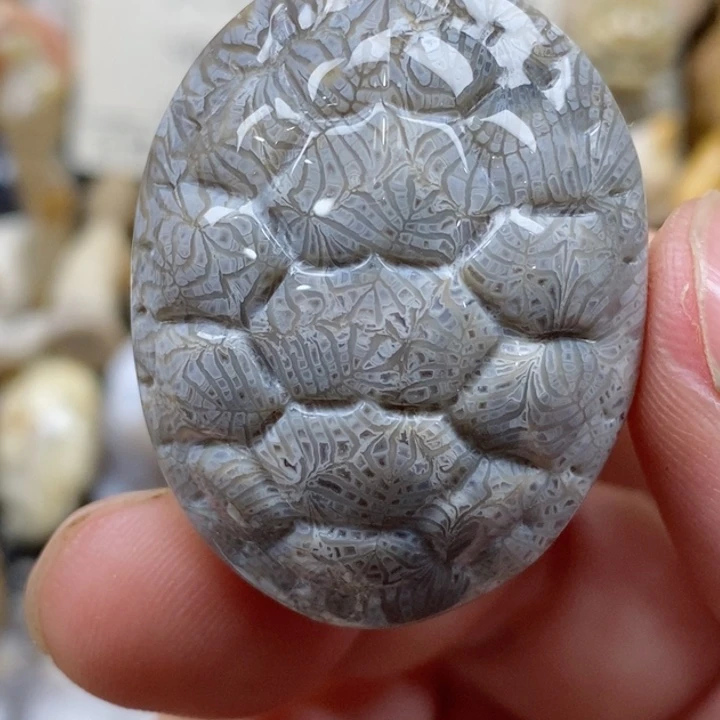 颈饰未镶嵌硅化珊瑚（珊瑚玉）