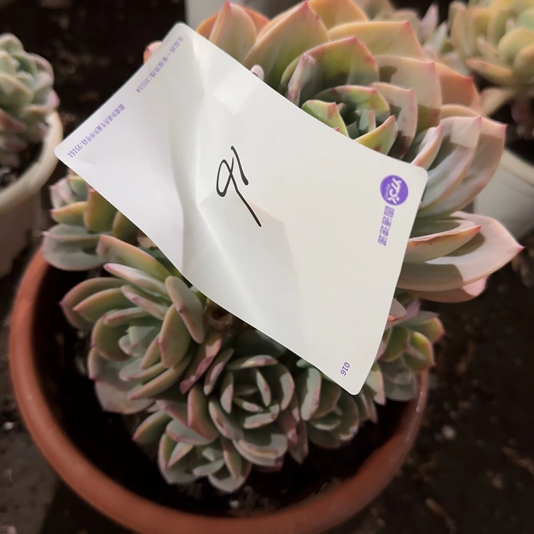 -****1346464664434343