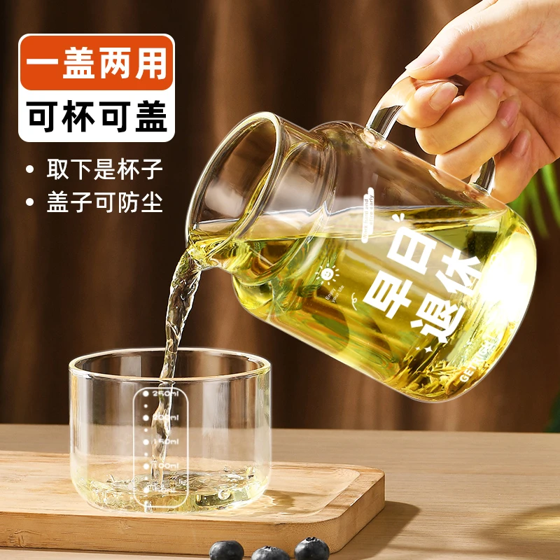 大容量玻璃杯带盖家用喝水杯女高颜值耐高温带把刻度杯男泡茶杯子