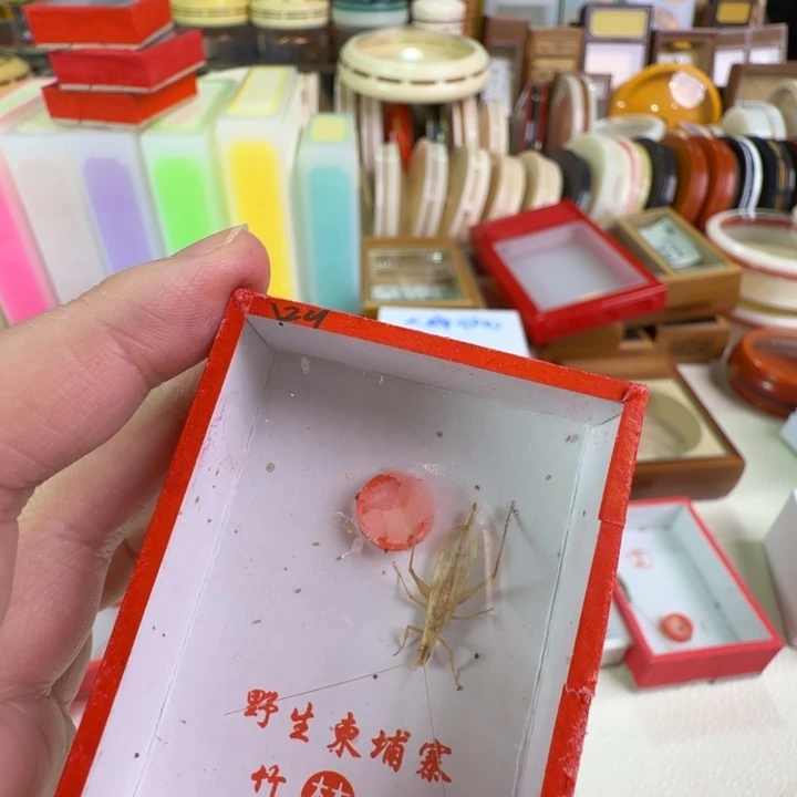 甜***憨叫柬埔寨合适合适