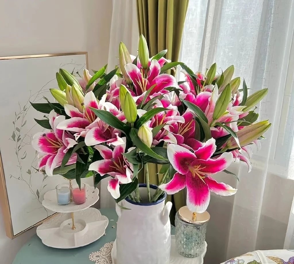 国王-- 单瓣百合