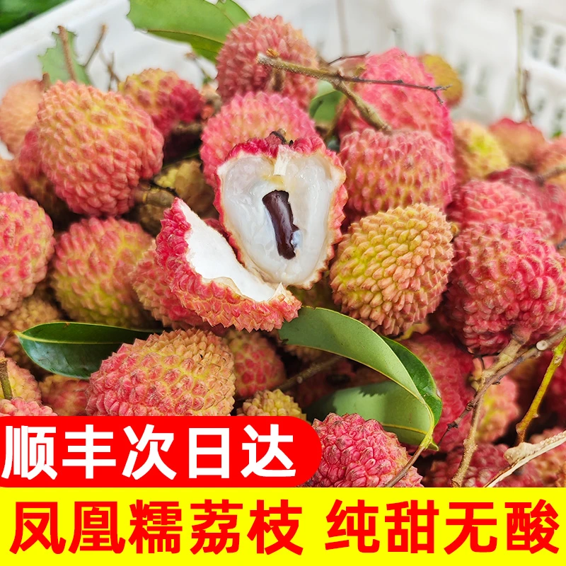 【顺丰次日达】茂名高州凤凰糯荔枝5斤荔枝同城送新鲜