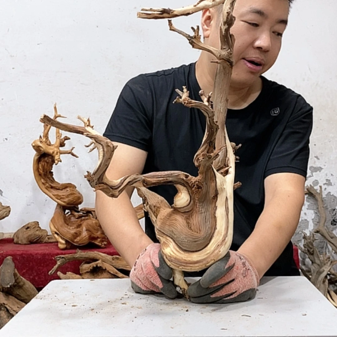 【闪购商品】柏木亮**艺我们都是好孩子