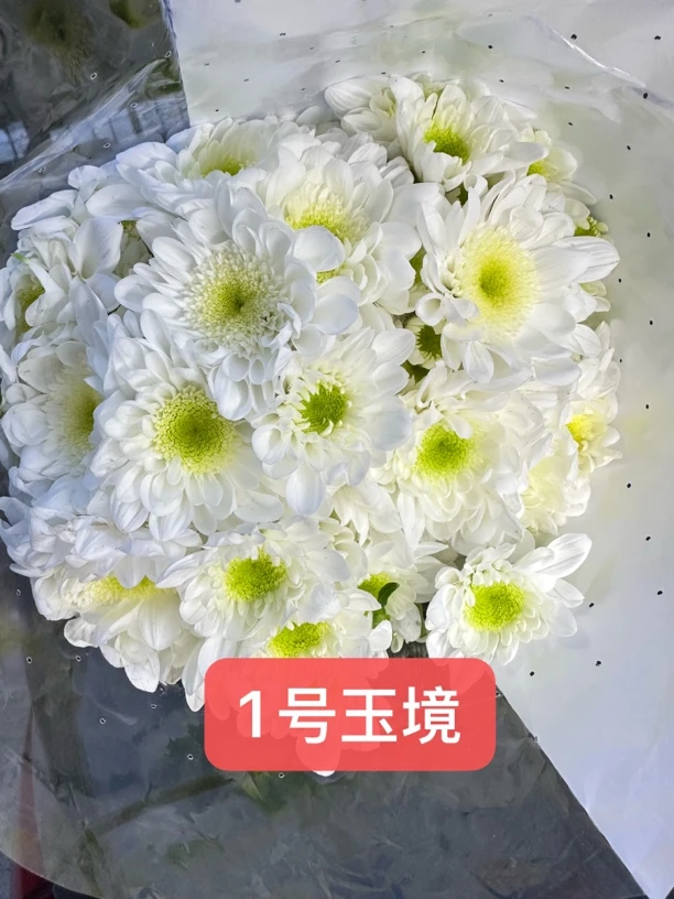 【阿文家】小雏菊7个颜色 下单备注数字