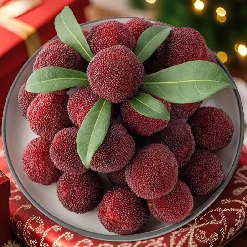 乌市直发新疆包邮东魁杨梅2.5公斤酸甜可口新鲜现摘冷链运输