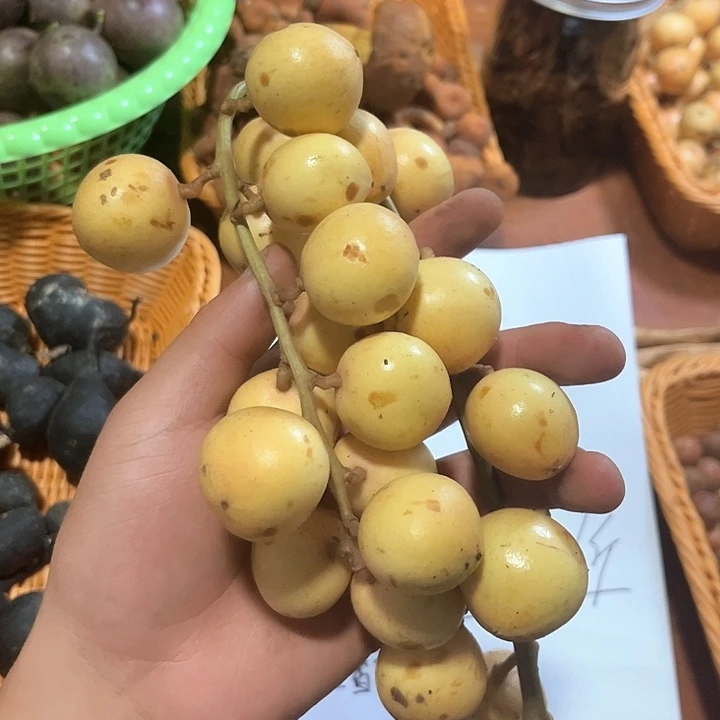 云南新鲜三吖果酸甜