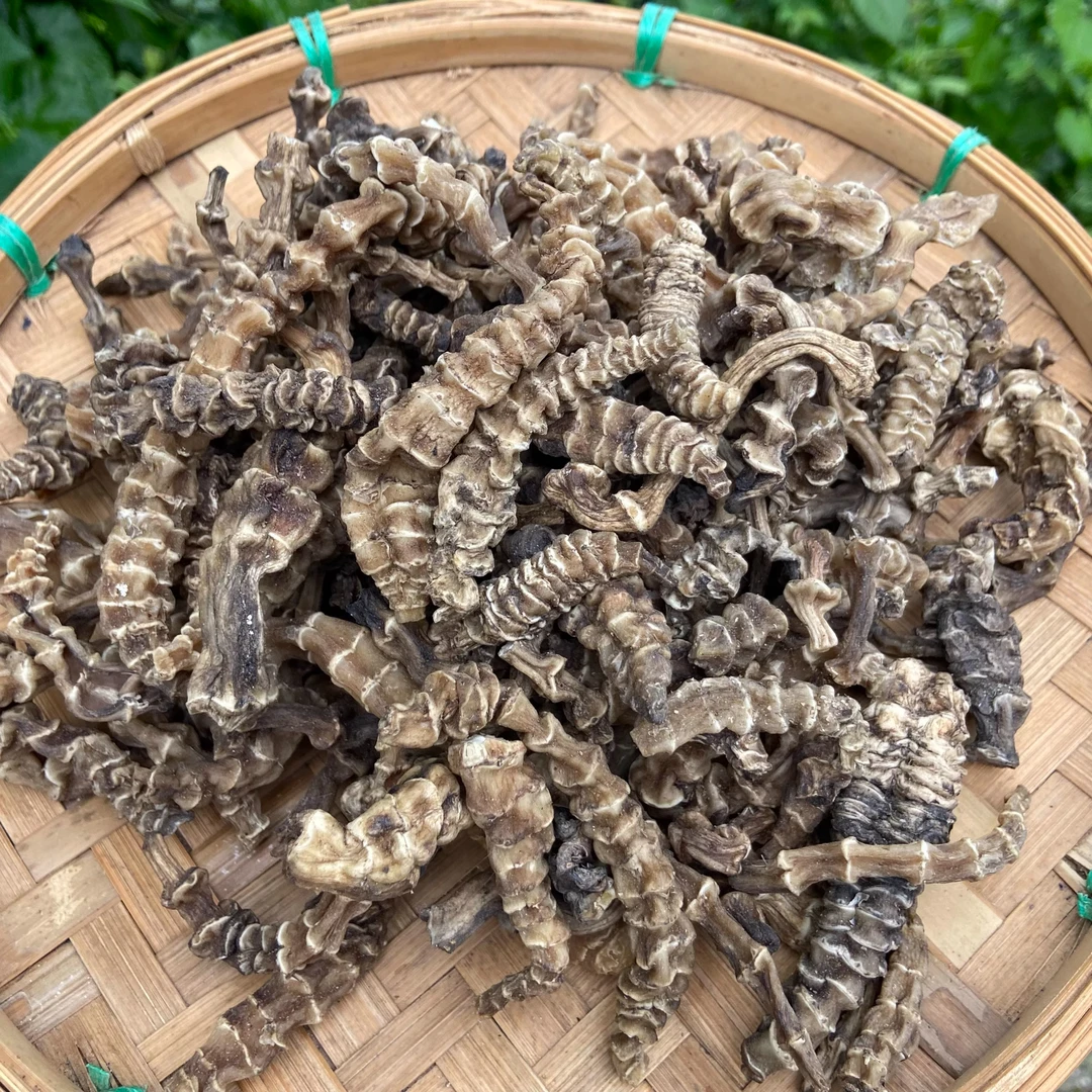 【代卖】正宗参干货虫草参煮水煲汤食材