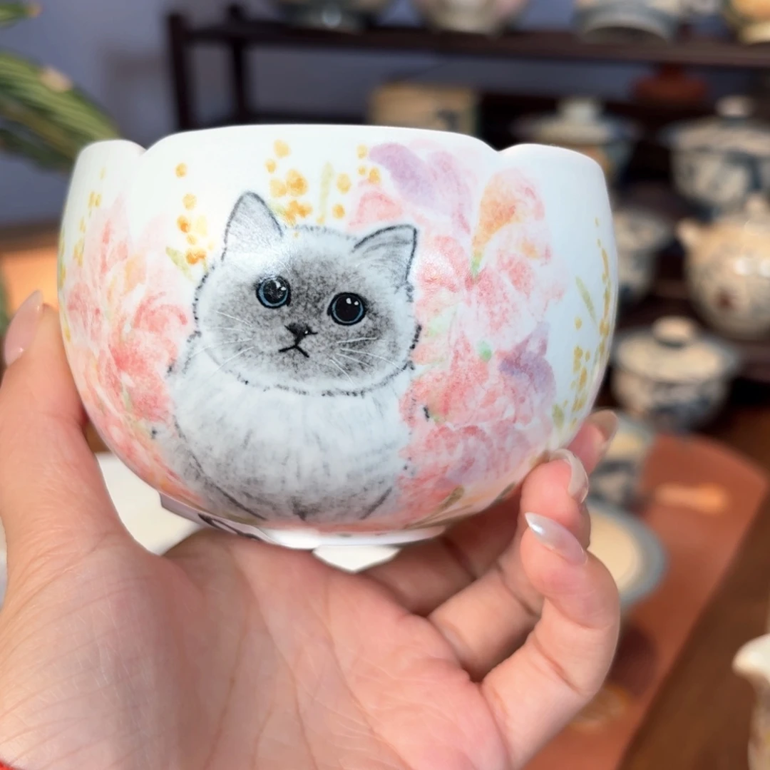 杯杯杯杯杯杯杯806