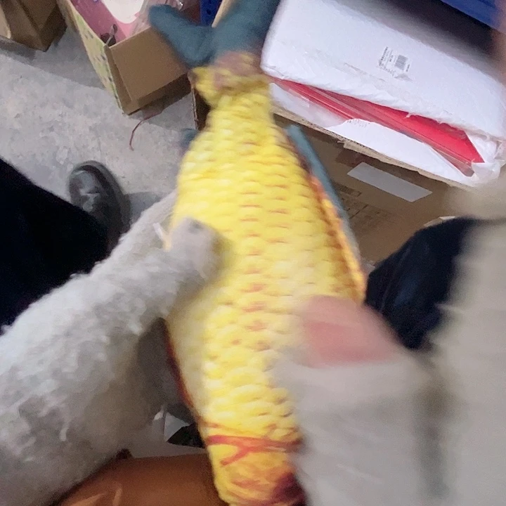 会动的鲤鱼拍一发二条。