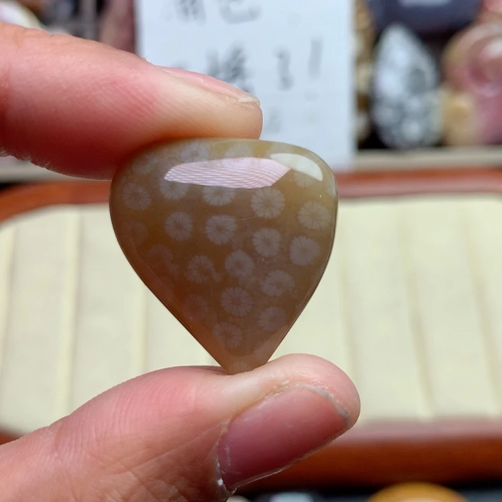 硅化珊瑚（珊瑚玉）颈饰未镶嵌