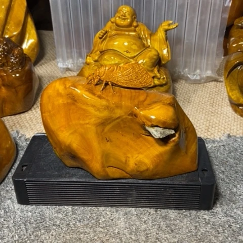 金丝楠一鸣惊人的