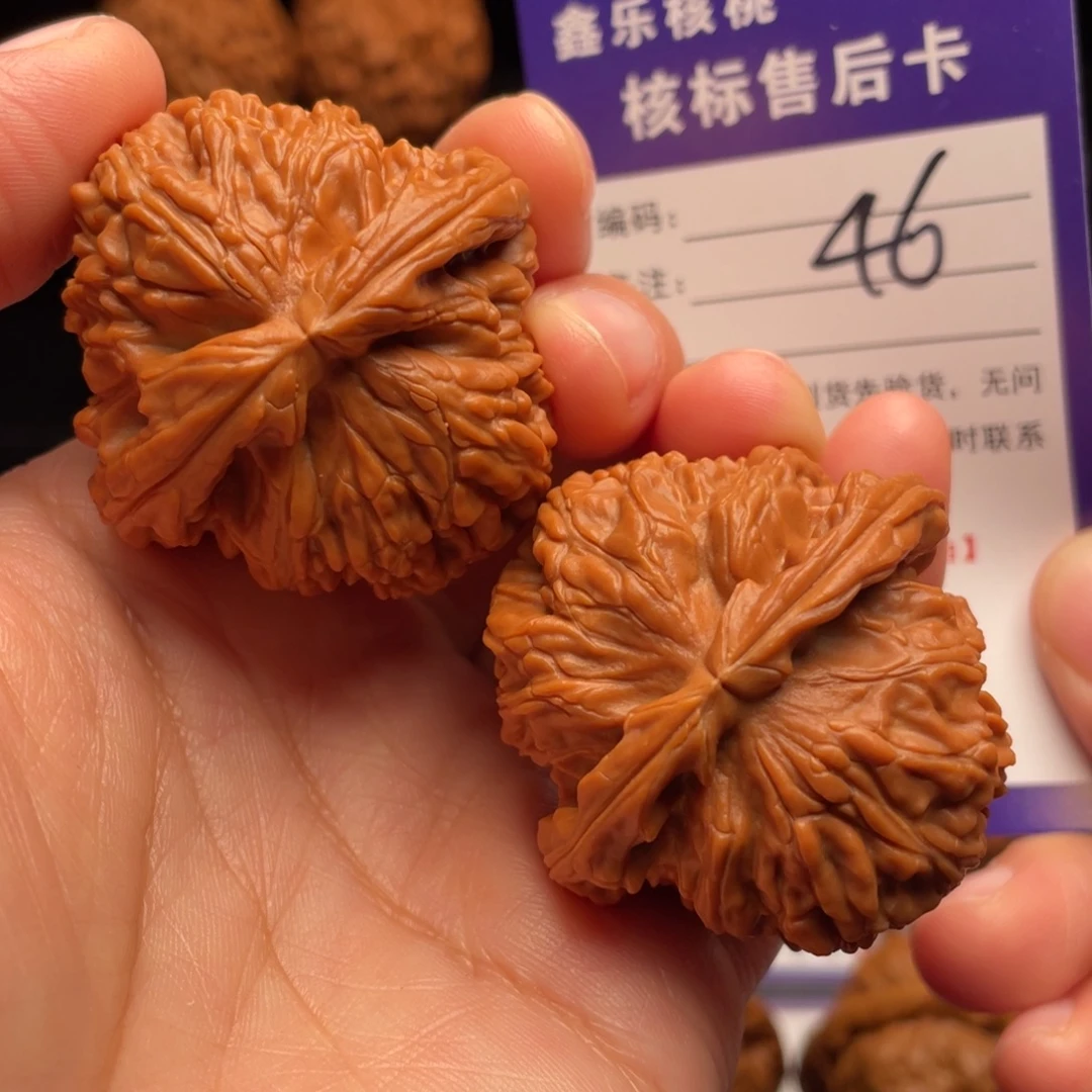 文玩核桃把件白狮子42尺