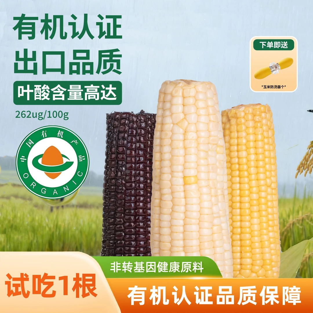 【家庭装】头茬粗粮轻食契丹粮道糯玉米黄糯香甜糯内蒙黏苞米玉米