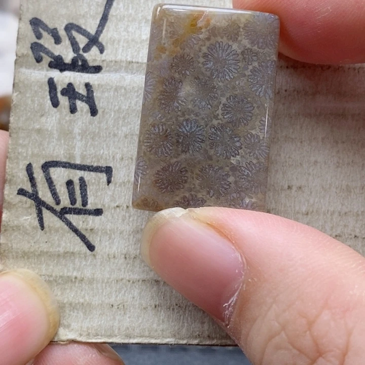 硅化珊瑚（珊瑚玉）颈饰未镶嵌卟*乐