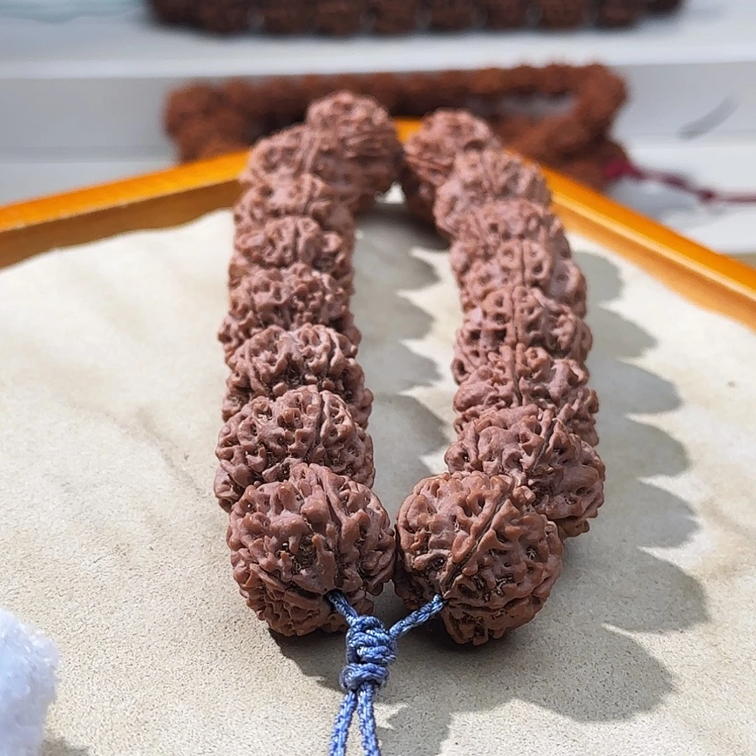 吊坠金刚菩提高山籽大粗筋超头款