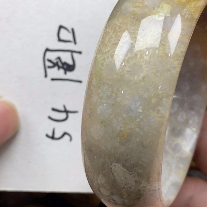 硅化珊瑚（珊瑚玉）未镶嵌颈饰